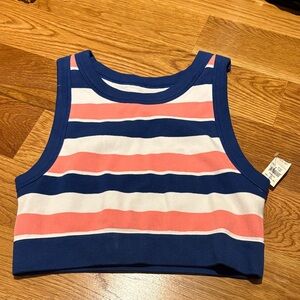 Aerie offline Striped Blue and Pink Crop Top. Large